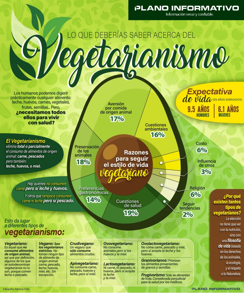 Lo Que Debes Saber Sobre El Vegetarianismo 1928
